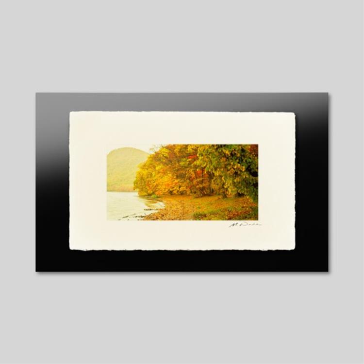 IGREBOW ̳ƻ դޤƶʡ[» 12] ܥ ƥꥢե ԥ㡼 ̿