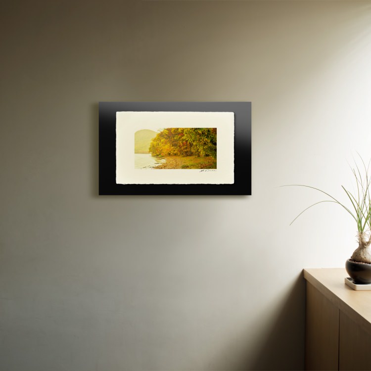 IGREBOW ̳ƻ դޤƶʡ[» 12] ܥ ƥꥢե ԥ㡼 ̿