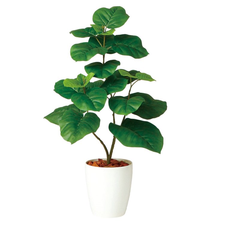 ����٥顼�� W50��H80cm��TK98923 �����ƥ��ե�����륰�꡼�� �͹����տ�ʪ �͹����� ȭ�դ����꡼��