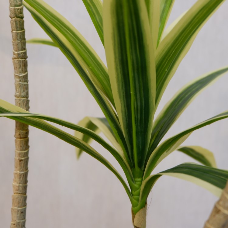 ɥ饻ʥե쥯ݥå109cmVR22090 ƥե륰꡼ ͹տʪ ͹ ʰȭդ꡼