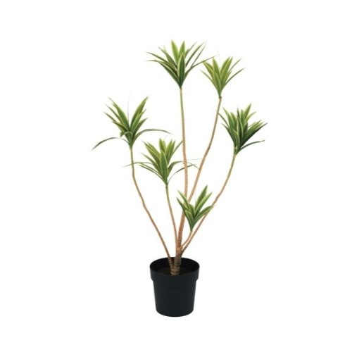 ɥ饻ʥե쥯ݥå109cmVR22090 ƥե륰꡼ ͹տʪ ͹ ʰȭդ꡼