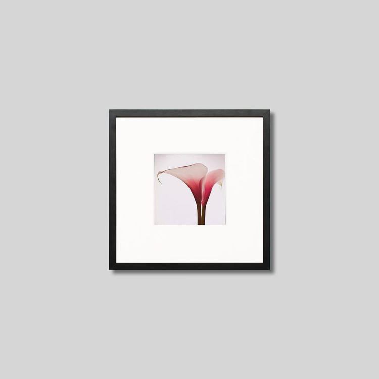 IGREBOW 顼β֡[å 11] ܥ ƥꥢե ԥ㡼 ̿