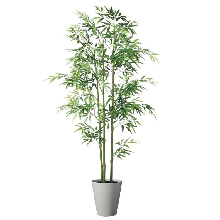 ����3��Ω W85��H200cm��TK91785 �����ƥ��ե�����륰�꡼�� �͹����տ�ʪ �͹����� ȭ�դ����꡼��