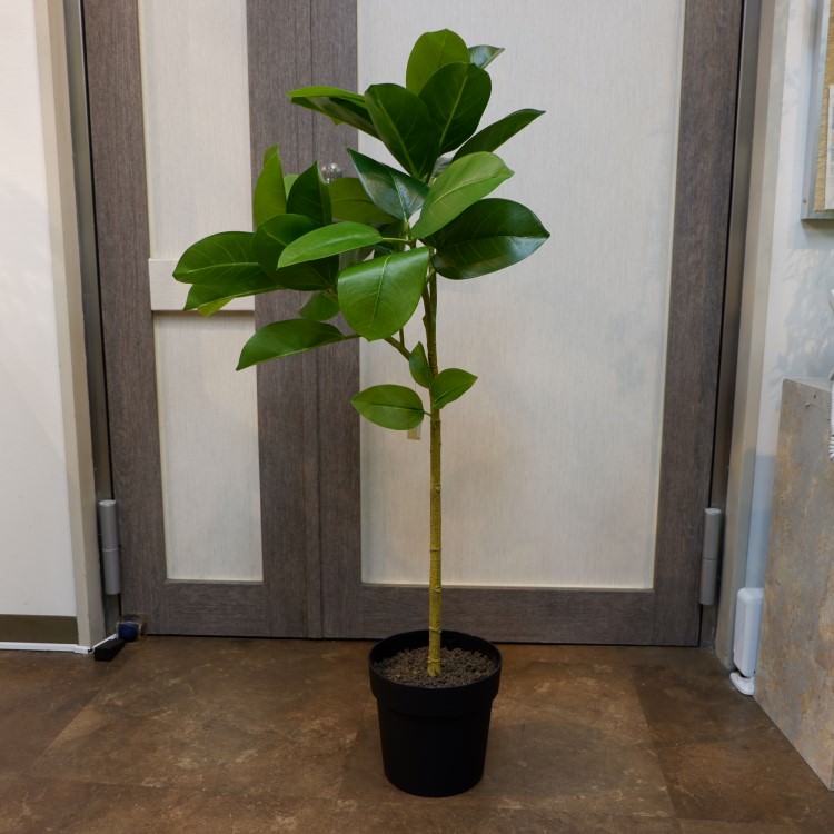 եեݥå116cmVR22091 ƥե륰꡼ ͹տʪ ͹ ʰȭդ꡼