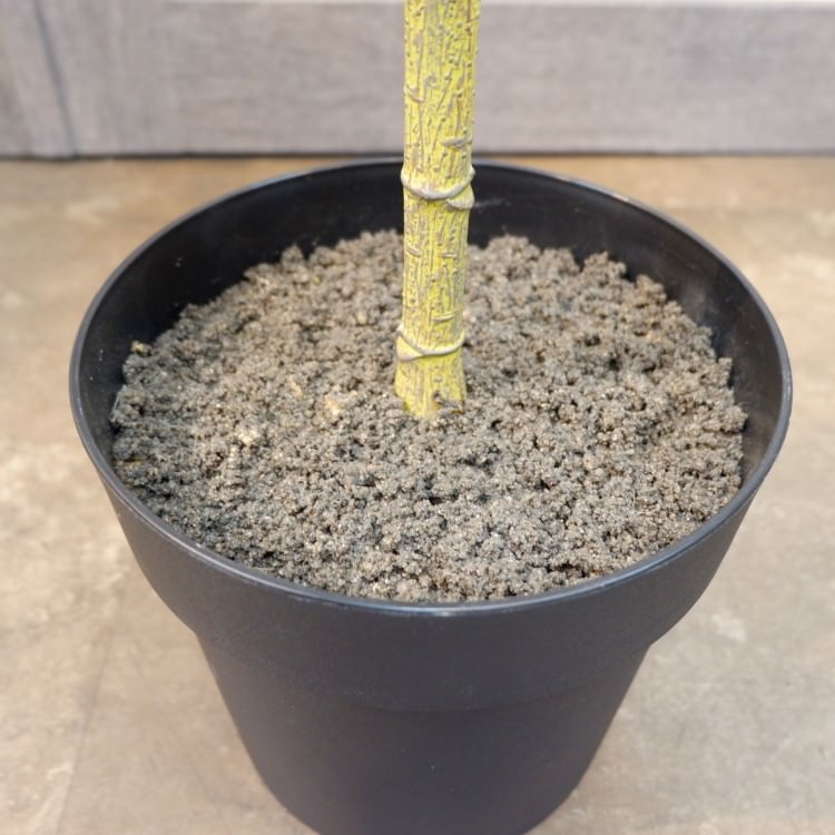 եեݥå116cmVR22091 ƥե륰꡼ ͹տʪ ͹ ʰȭդ꡼