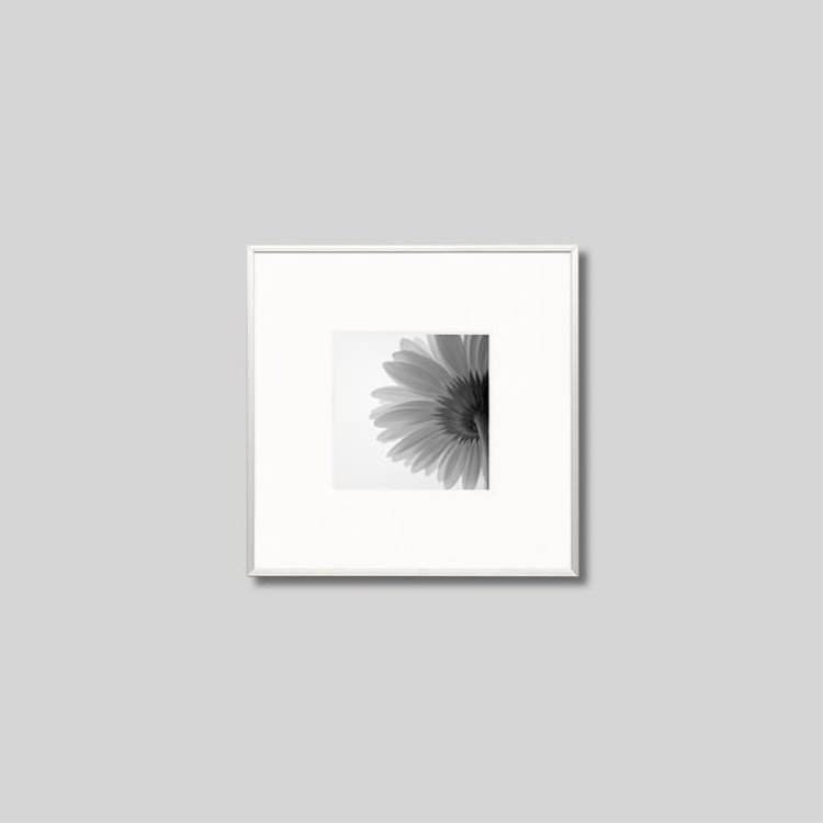 IGREBOW �����٥�β֡�[����� 1��1] ��������ܥ� ����ƥꥢ�ե��� �ԥ����㡼������ �̿�