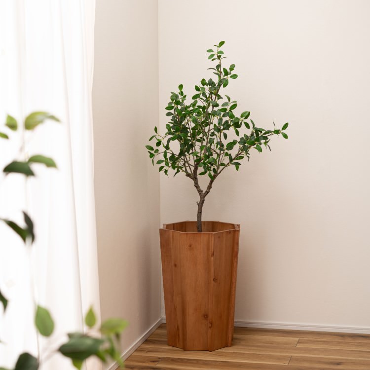 ���åɥץ�󥿡�L �֥饦�� 2�ĥ��åȡ���ë AZUMAYA �饤�ȥե��˥��㡼 LIGHT �ǥ�����ե��˥��㡼 ����ƥꥢ �ȶ�