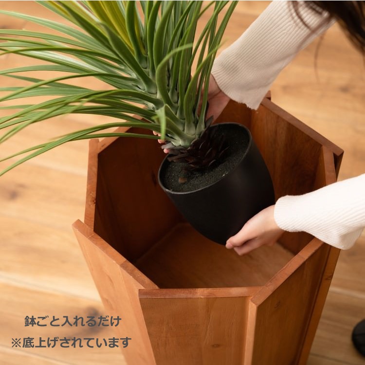 ���åɥץ�󥿡�L �֥饦�� 2�ĥ��åȡ���ë AZUMAYA �饤�ȥե��˥��㡼 LIGHT �ǥ�����ե��˥��㡼 ����ƥꥢ �ȶ�