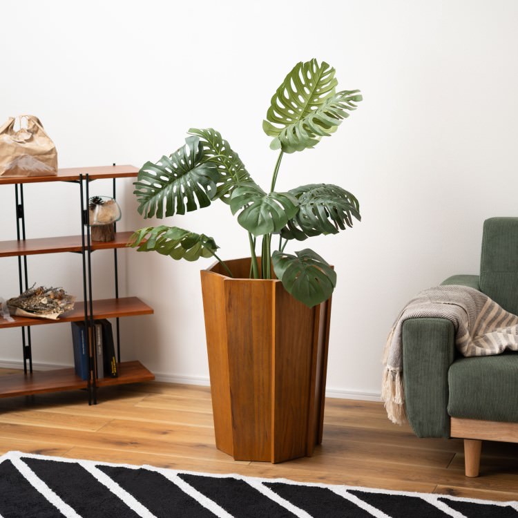 ���åɥץ�󥿡�L �֥饦�� 2�ĥ��åȡ���ë AZUMAYA �饤�ȥե��˥��㡼 LIGHT �ǥ�����ե��˥��㡼 ����ƥꥢ �ȶ�