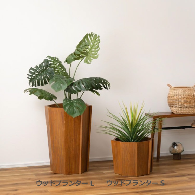 ���åɥץ�󥿡�L �֥饦�� 2�ĥ��åȡ���ë AZUMAYA �饤�ȥե��˥��㡼 LIGHT �ǥ�����ե��˥��㡼 ����ƥꥢ �ȶ�