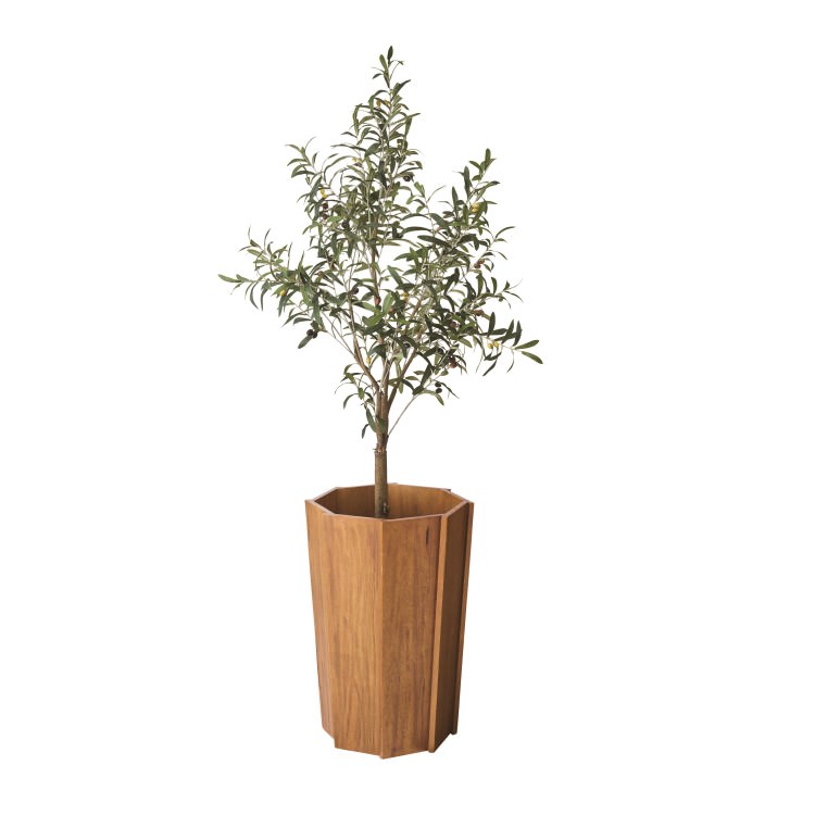 ���åɥץ�󥿡�L �֥饦�� 2�ĥ��åȡ���ë AZUMAYA �饤�ȥե��˥��㡼 LIGHT �ǥ�����ե��˥��㡼 ����ƥꥢ �ȶ�