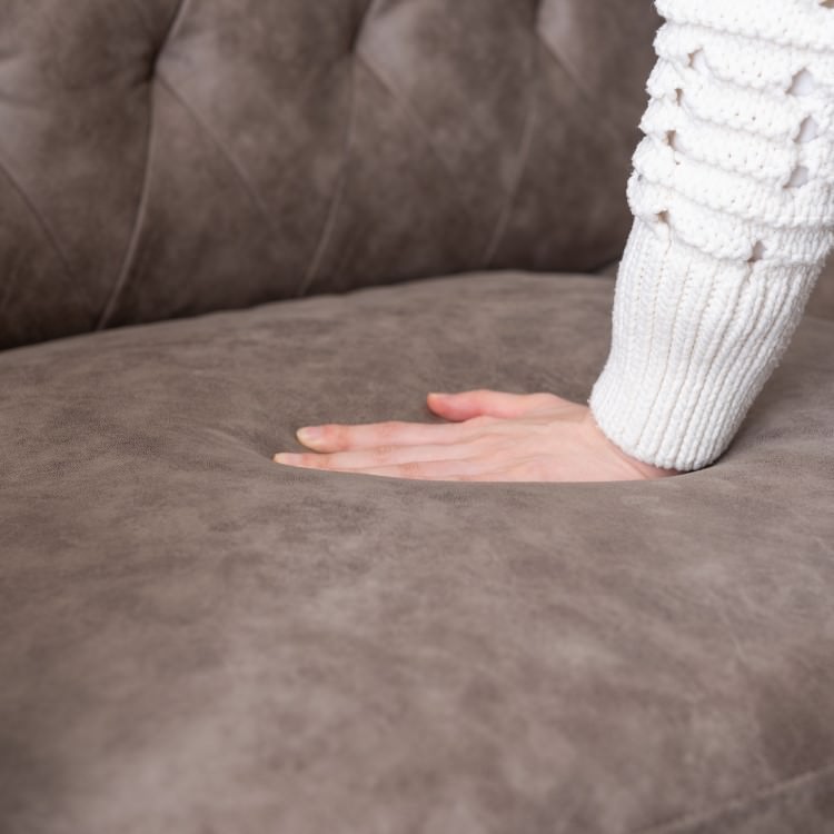 �쥶��Ĵ���ե�(���졼)����ë AZUMAYA ���ե� �ǥ�����ե��˥��㡼 ����ƥꥢ �ȶ� �ü��緿 ��Ω�� ������