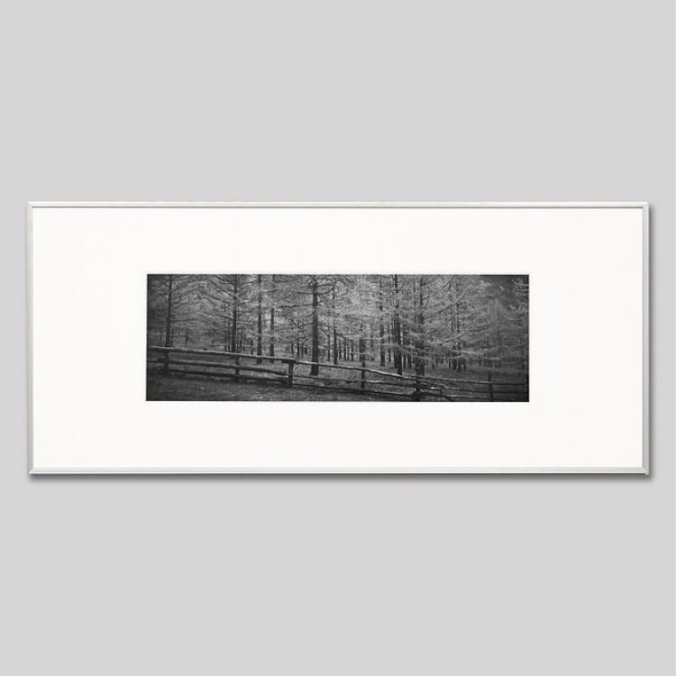 IGREBOW ��󥴥� �ƥ�른 ���դο���[����� 1��3] ��������ܥ� ����ƥꥢ�ե��� �ԥ����㡼������ �̿�