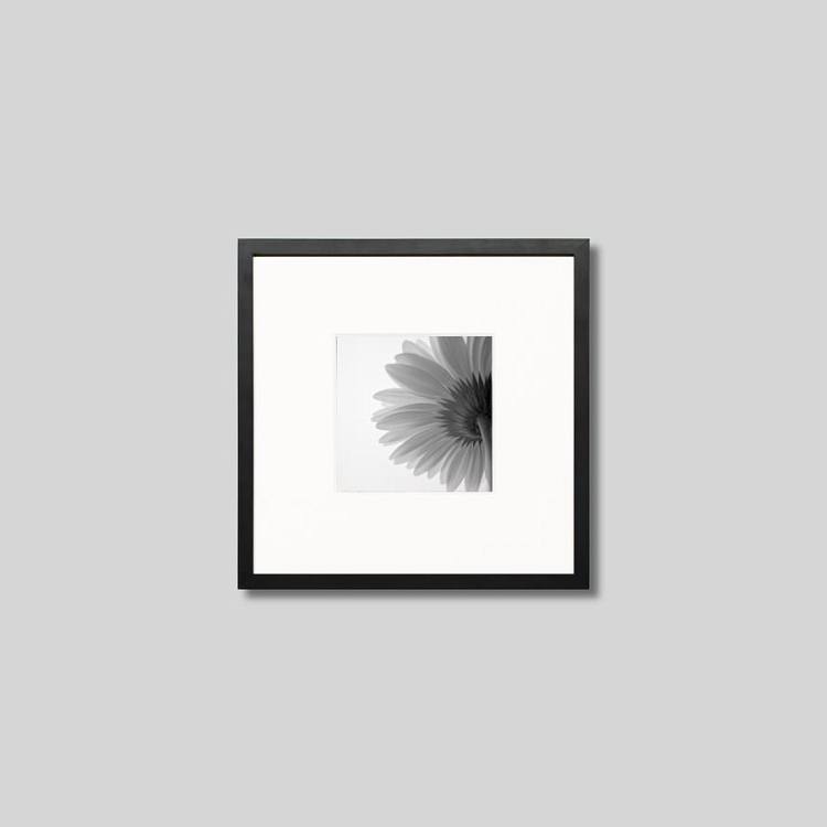 IGREBOW ٥β֡[å 11] ܥ ƥꥢե ԥ㡼 ̿