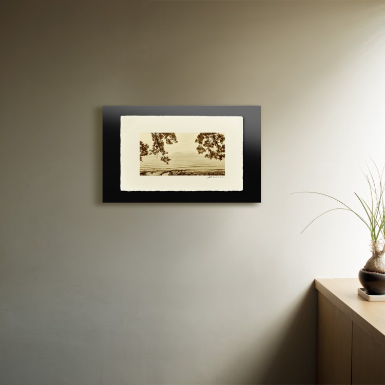 IGREBOW ̳ƻ ƶʡ[» 12] ܥ ƥꥢե ԥ㡼 ̿