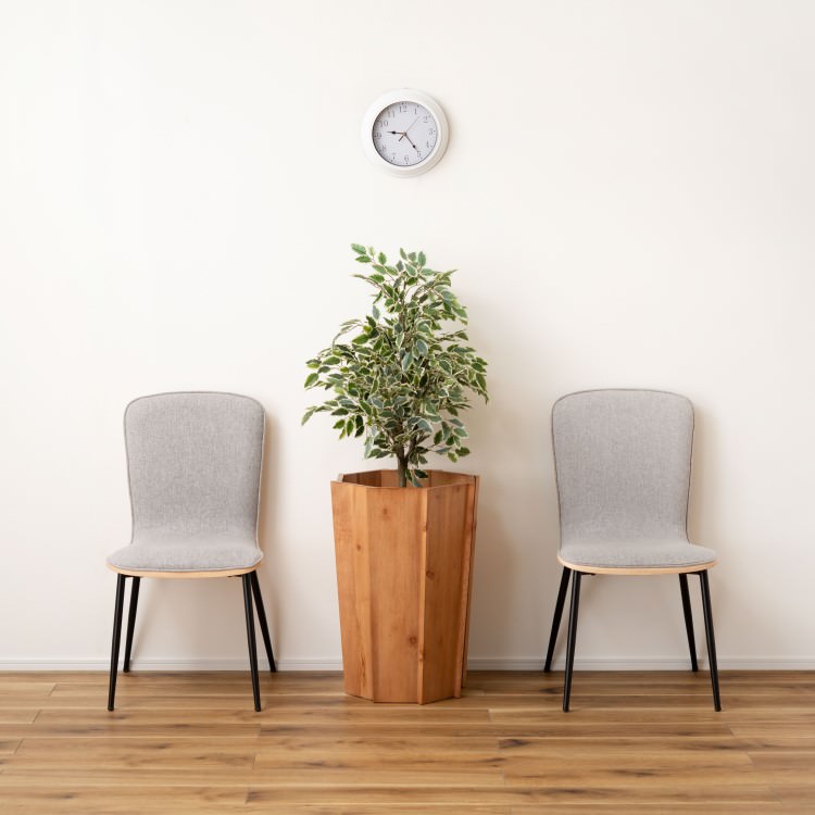 ���åɥץ�󥿡�L �ʥ����� 2�ĥ��åȡ���ë AZUMAYA �饤�ȥե��˥��㡼 LIGHT �ǥ�����ե��˥��㡼 ����ƥꥢ �ȶ�