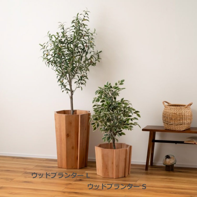 ���åɥץ�󥿡�L �ʥ����� 2�ĥ��åȡ���ë AZUMAYA �饤�ȥե��˥��㡼 LIGHT �ǥ�����ե��˥��㡼 ����ƥꥢ �ȶ�