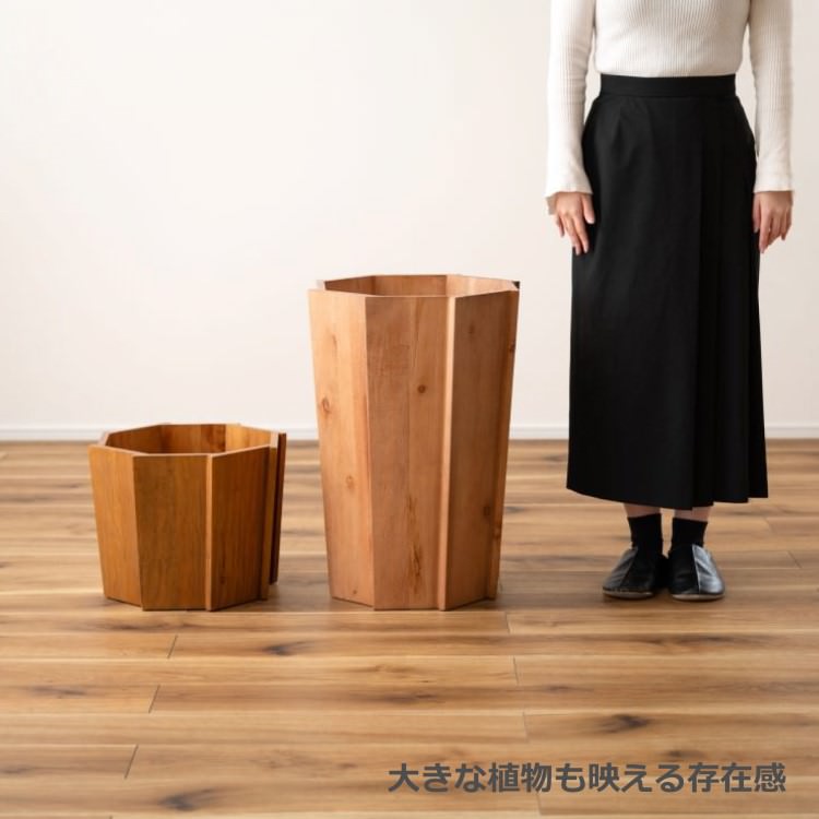 ���åɥץ�󥿡�L �ʥ����� 2�ĥ��åȡ���ë AZUMAYA �饤�ȥե��˥��㡼 LIGHT �ǥ�����ե��˥��㡼 ����ƥꥢ �ȶ�