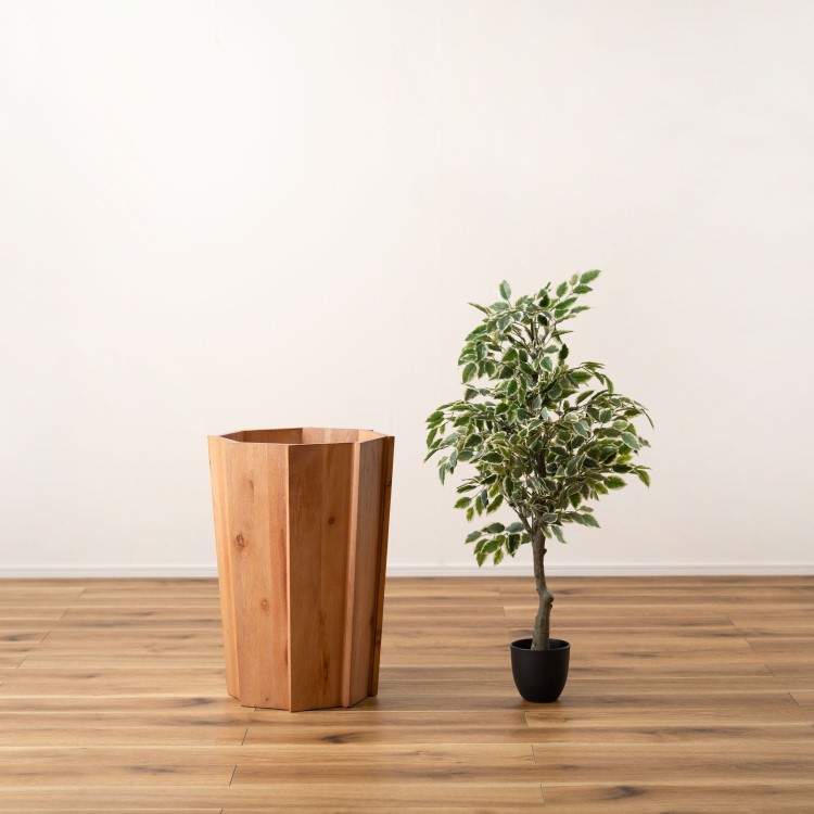 ���åɥץ�󥿡�L �ʥ����� 2�ĥ��åȡ���ë AZUMAYA �饤�ȥե��˥��㡼 LIGHT �ǥ�����ե��˥��㡼 ����ƥꥢ �ȶ�