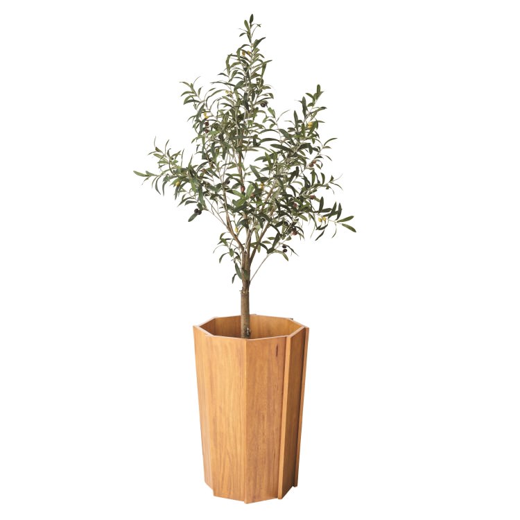 ���åɥץ�󥿡�L �ʥ����� 2�ĥ��åȡ���ë AZUMAYA �饤�ȥե��˥��㡼 LIGHT �ǥ�����ե��˥��㡼 ����ƥꥢ �ȶ�