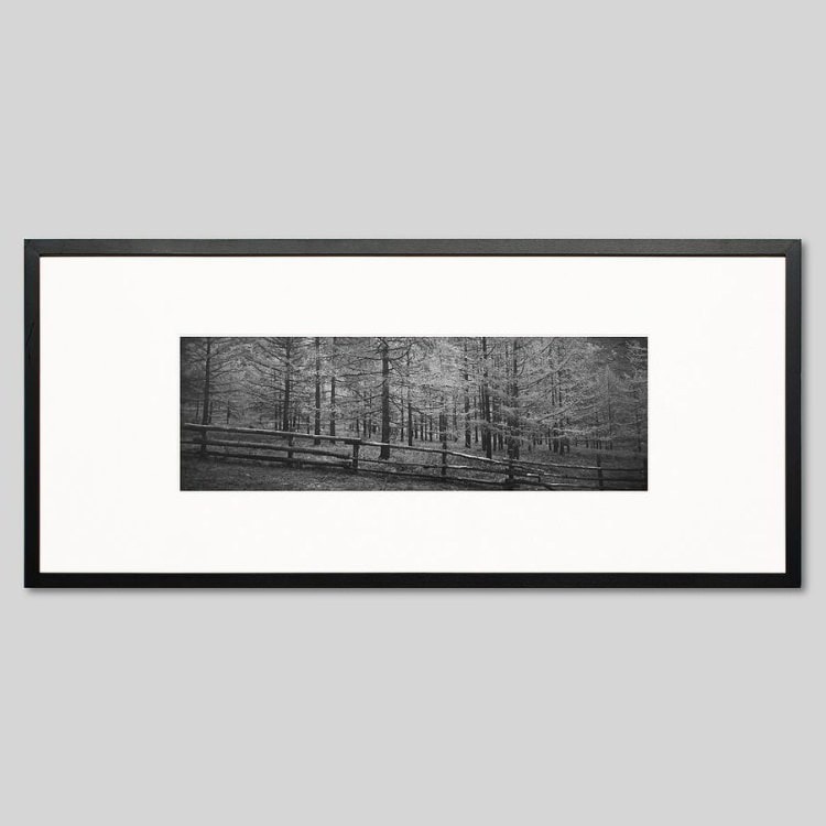 IGREBOW ��󥴥� �ƥ�른 ���դο���[���å� 1��3] ��������ܥ� ����ƥꥢ�ե��� �ԥ����㡼������ �̿�