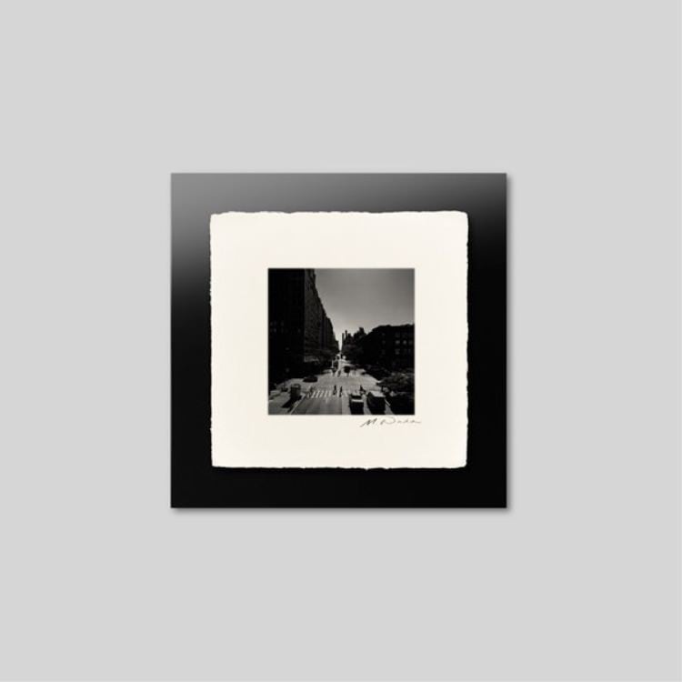 IGREBOW ˥塼衼 ϥ饤󤫤鸫륷γ¤ߡ[» 11] ܥ ƥꥢե ԥ㡼 ̿