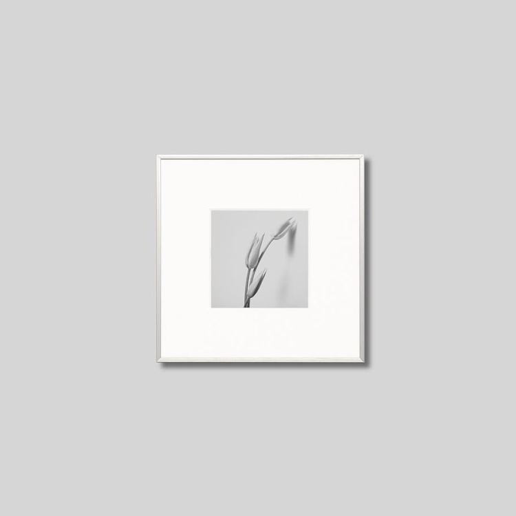 IGREBOW 塼åפβ֡[ 11] ܥ ƥꥢե ԥ㡼 ̿