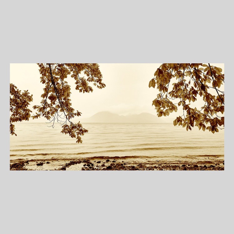 IGREBOW ̳ƻ ƶʡ[å 12] ܥ ƥꥢե ԥ㡼 ̿