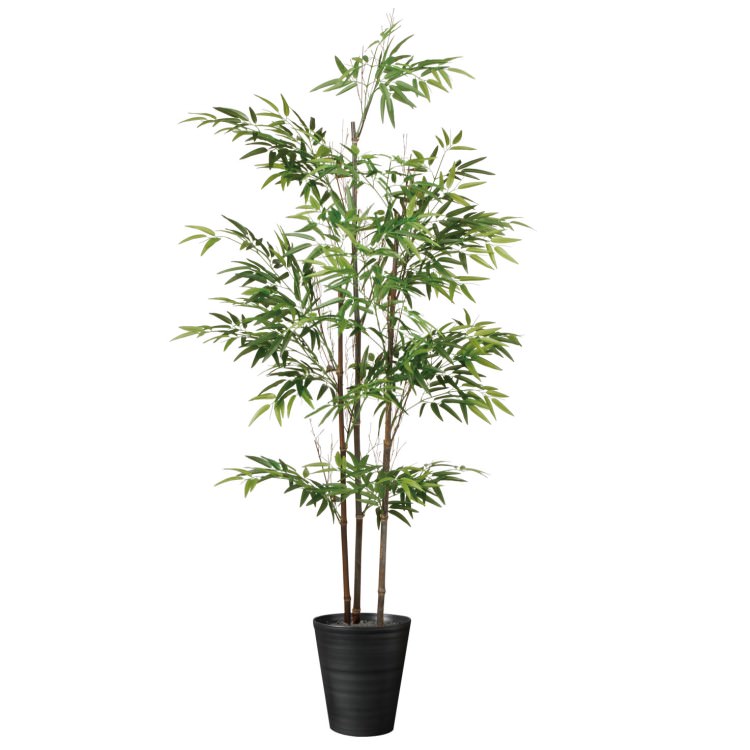 3Ω W85H200cmTK91788 ƥե륰꡼ ͹տʪ ͹ ȭդ꡼