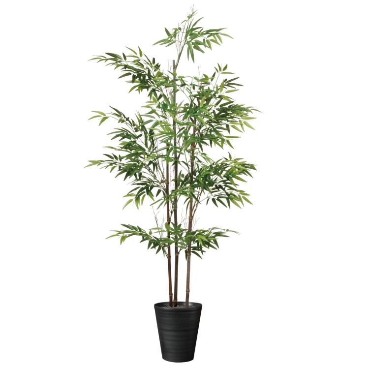 ����3��Ω W80��H180cm��TK91789 �����ƥ��ե�����륰�꡼�� �͹����տ�ʪ �͹����� ȭ�դ����꡼��