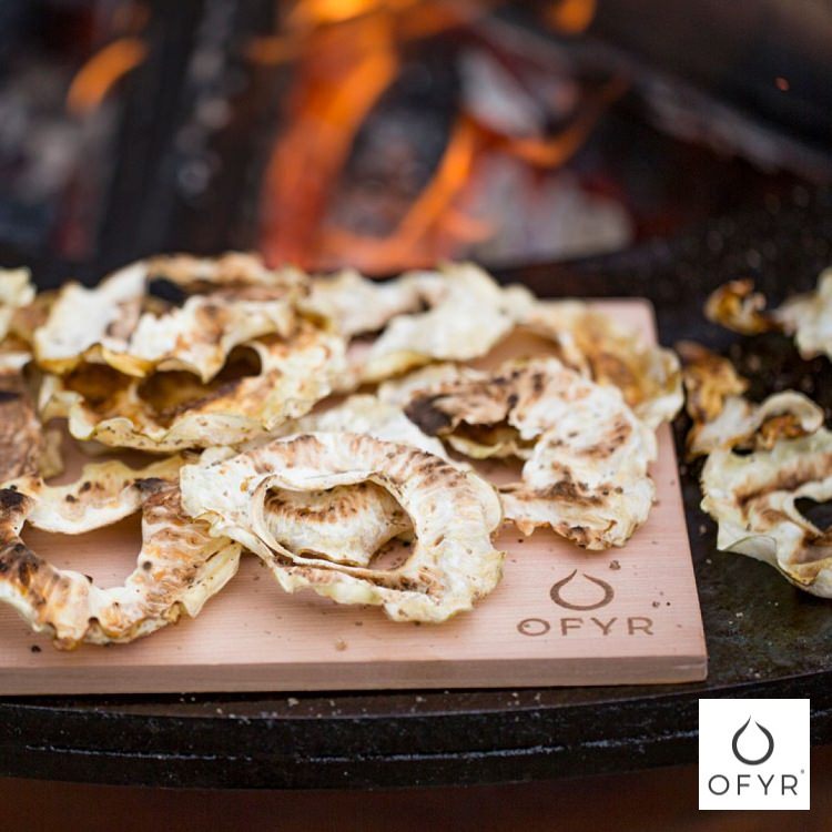 OFYR(���ե���) ���������å� 3�祻�åȡå����ȥɥ������ ���������꡼ �ѡ��� �����ȥ쥤 �С��٥��塼����� �������� �����ȥɥ� ���å��� OF-OACW