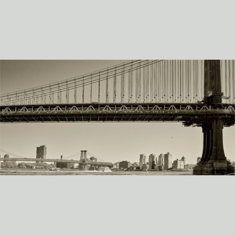 IGREBOW ����ꥫ �˥塼�衼�� �ޥ�ϥå���֥�å���[�»� 1��2] ��������ܥ� ����ƥꥢ�ե��� �ԥ����㡼������ �̿�