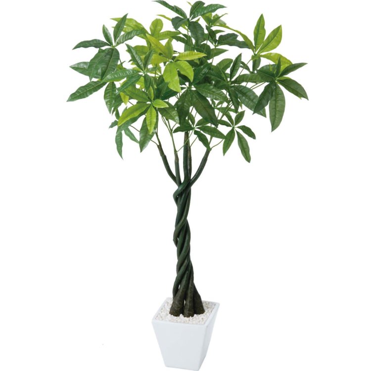 ѥݥå 110cmGLA-1197 ƥե륰꡼ ͹տʪ ȭդ꡼