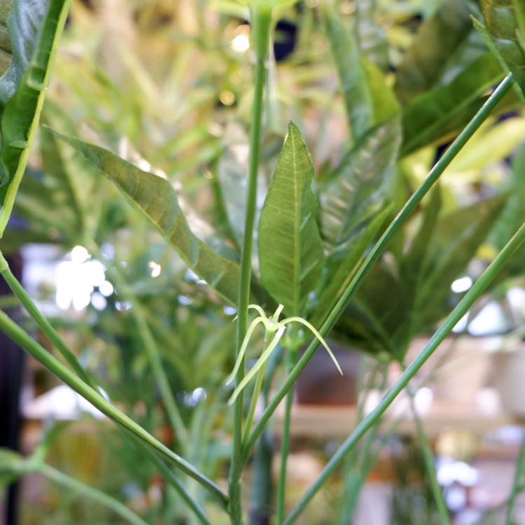 ѥݥå 110cmGLA-1197 ƥե륰꡼ ͹տʪ ȭդ꡼