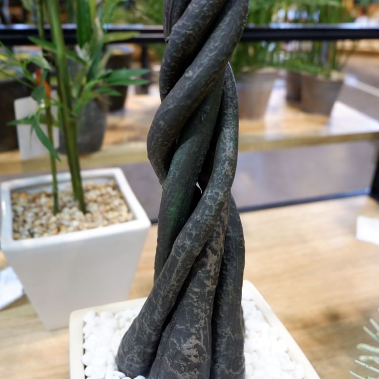 ѥݥå 110cmGLA-1197 ƥե륰꡼ ͹տʪ ȭդ꡼