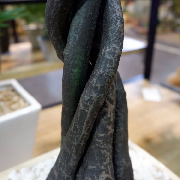 ѥݥå 110cmGLA-1197 ƥե륰꡼ ͹տʪ ȭդ꡼