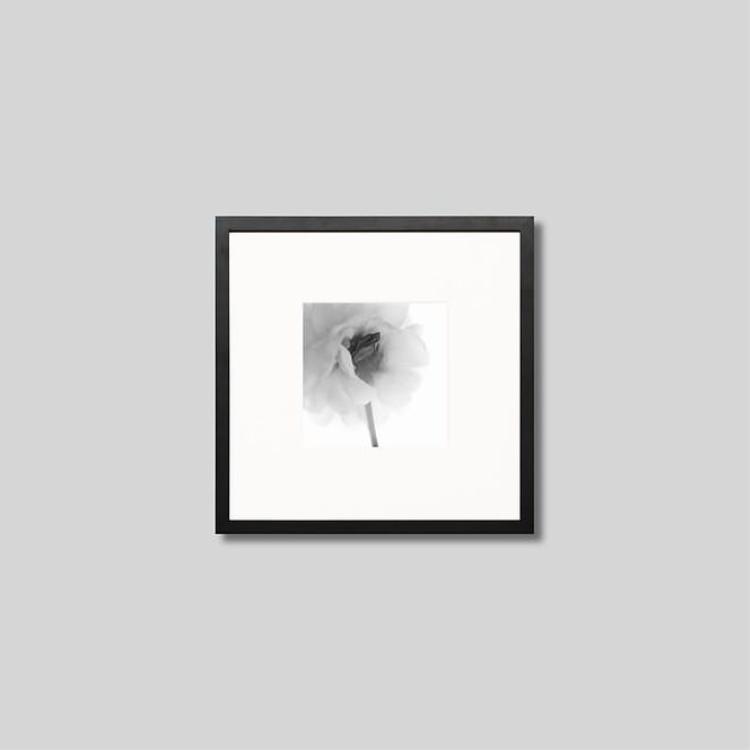 IGREBOW ���ꥢ�β֡�[���å� 1��1] ��������ܥ� ����ƥꥢ�ե��� �ԥ����㡼������ �̿�