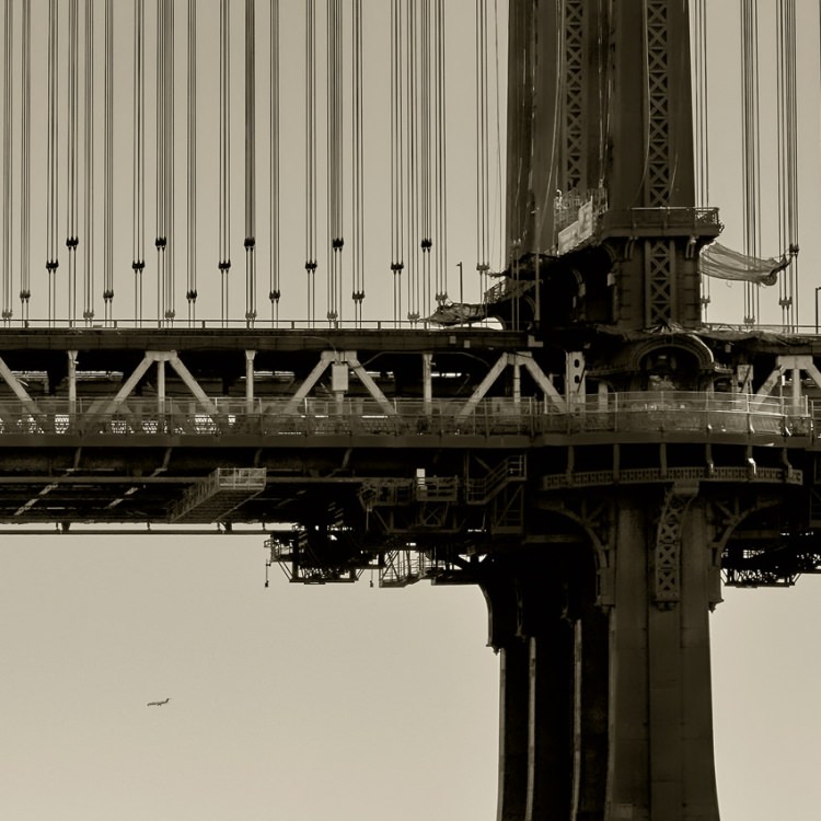 IGREBOW ꥫ ˥塼衼 ޥϥå֥å[å 12] ܥ ƥꥢե ԥ㡼 ̿