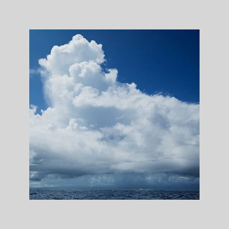 IGREBOW Ų Ĳ Ƥγȱ[å 11] ܥ ƥꥢե ԥ㡼 ̿