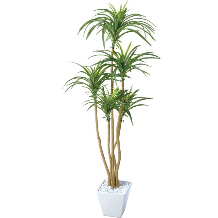 ��å��ݥå� 120cm��GLA-1198 �����ƥ��ե�����륰�꡼�� �͹����տ�ʪ ȭ�դ����꡼��