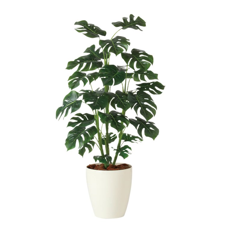 󥹥ƥ R W70H110cmTK91834 ƥե륰꡼ ͹տʪ ͹ ȭդ꡼