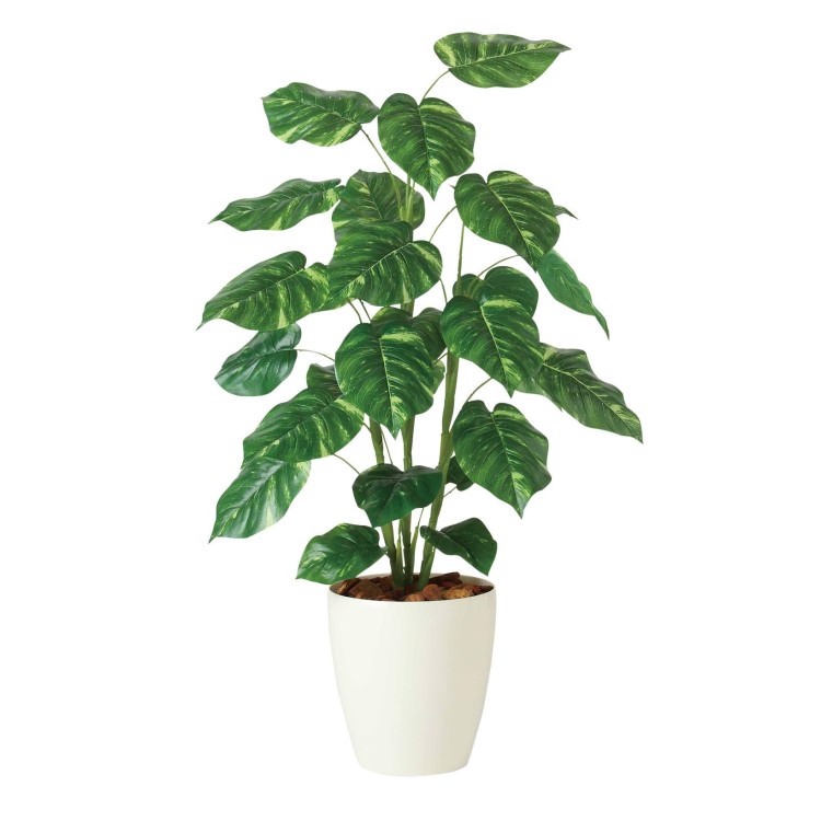 �ݥȥ� R W70��H110cm��TK91837 �����ƥ��ե�����륰�꡼�� �͹����տ�ʪ �͹����� ȭ�դ����꡼��