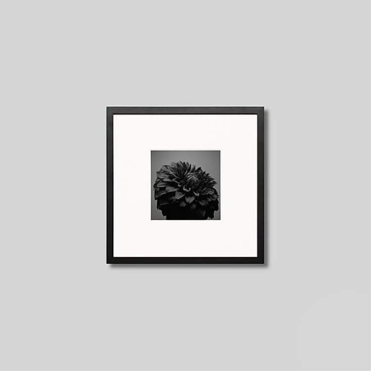 IGREBOW ���ꥢ�β֡�[���å� 1��1] ��������ܥ� ����ƥꥢ�ե��� �ԥ����㡼������ �̿�