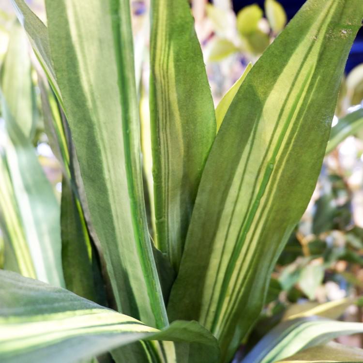 ޥåݥå 120cmGLA-1200 ƥե륰꡼ ͹տʪ ȭդ꡼