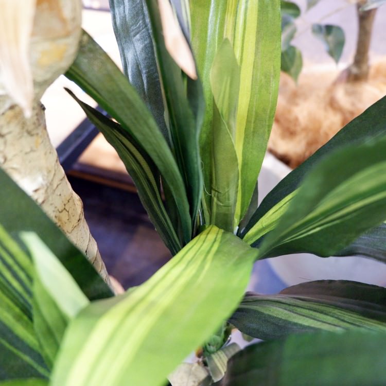 ޥåݥå 120cmGLA-1200 ƥե륰꡼ ͹տʪ ȭդ꡼