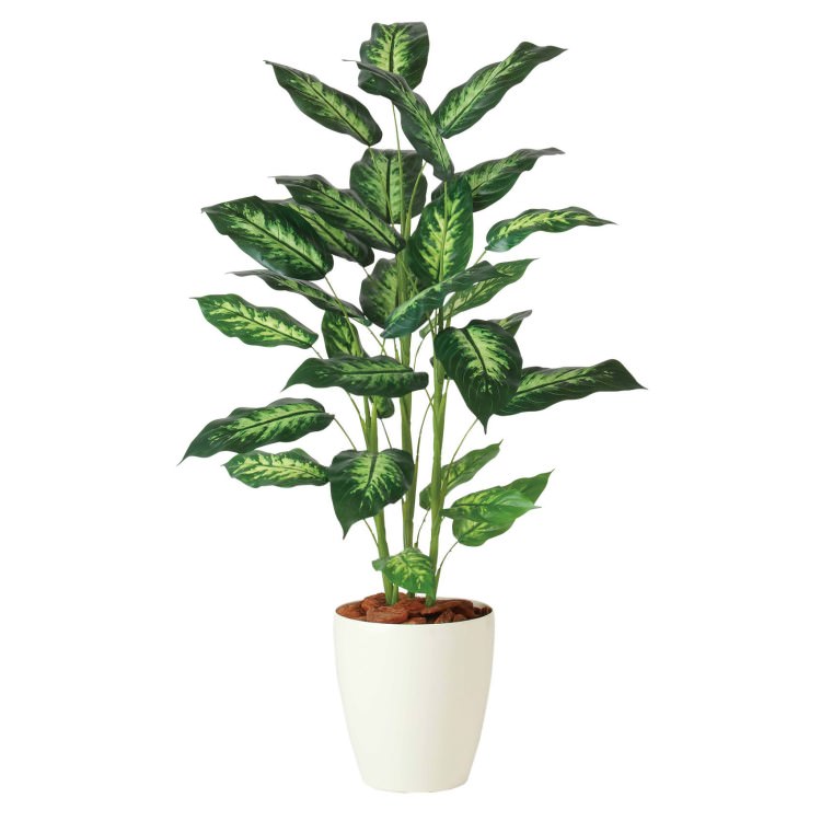 �ǥ��ե���Х��� R W70��H120cm��TK91840 �����ƥ��ե�����륰�꡼�� �͹����տ�ʪ �͹����� ȭ�դ����꡼��