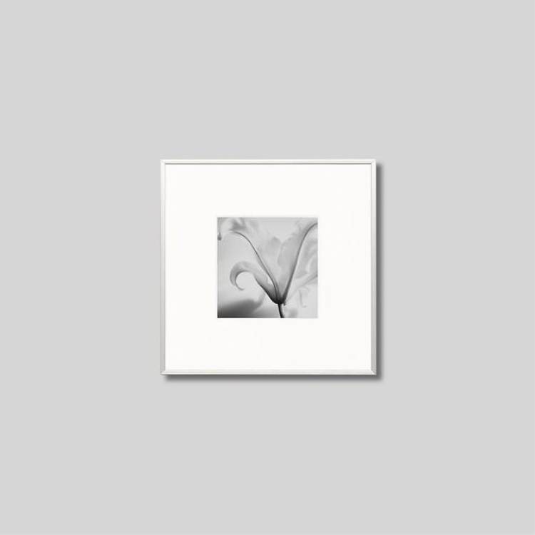 IGREBOW ���β֡�[����� 1��1] ��������ܥ� ����ƥꥢ�ե��� �ԥ����㡼������ �̿�