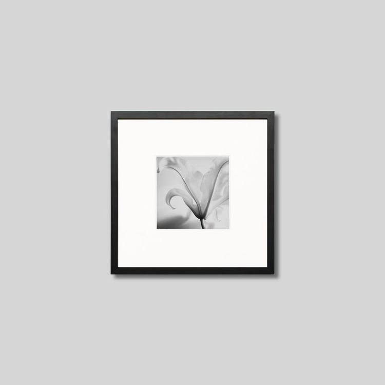 IGREBOW β֡[å 11] ܥ ƥꥢե ԥ㡼 ̿