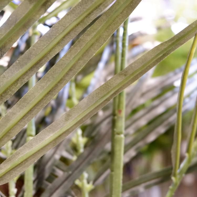 쥫ѡ 160cmGLA-1369 ƥե륰꡼ ͹տʪ ȭդ꡼