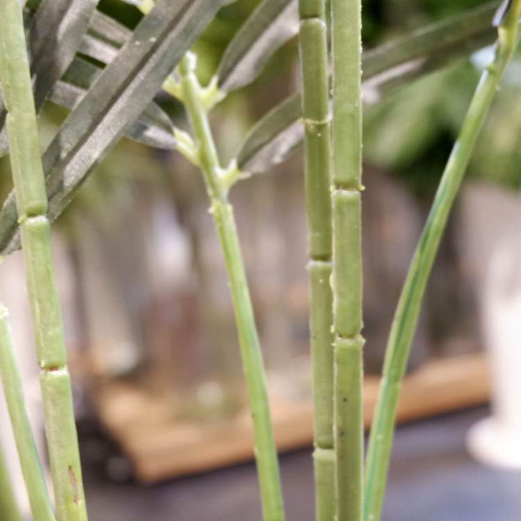 쥫ѡ 160cmGLA-1369 ƥե륰꡼ ͹տʪ ȭդ꡼